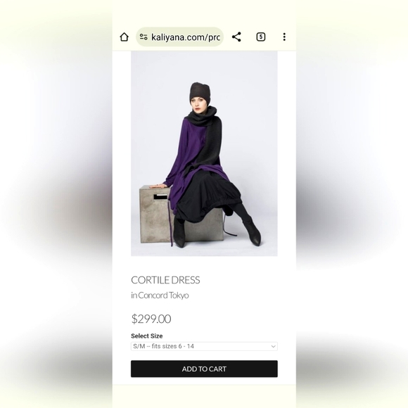 Kaliyana Cortile Dress in Concord Tokyo - Picture 2 of 8